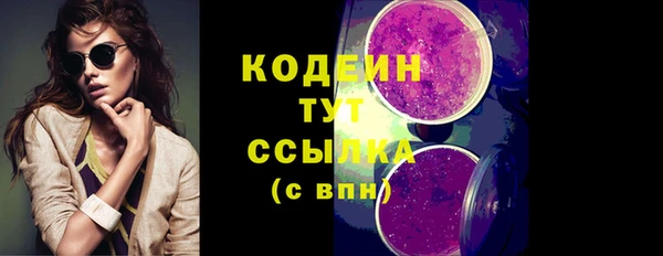 дживик Заводоуковск