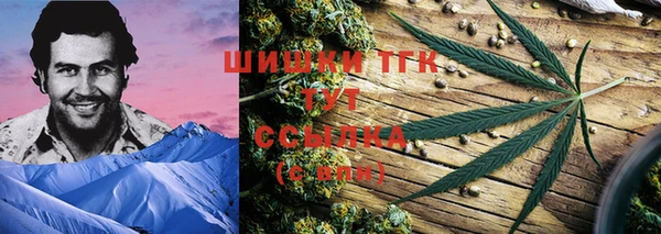 дживик Заводоуковск