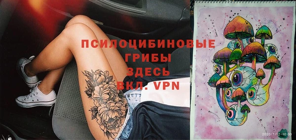 дмт Покровск