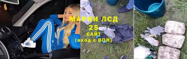 крисы Покачи